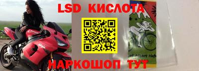 apvp Краснодар