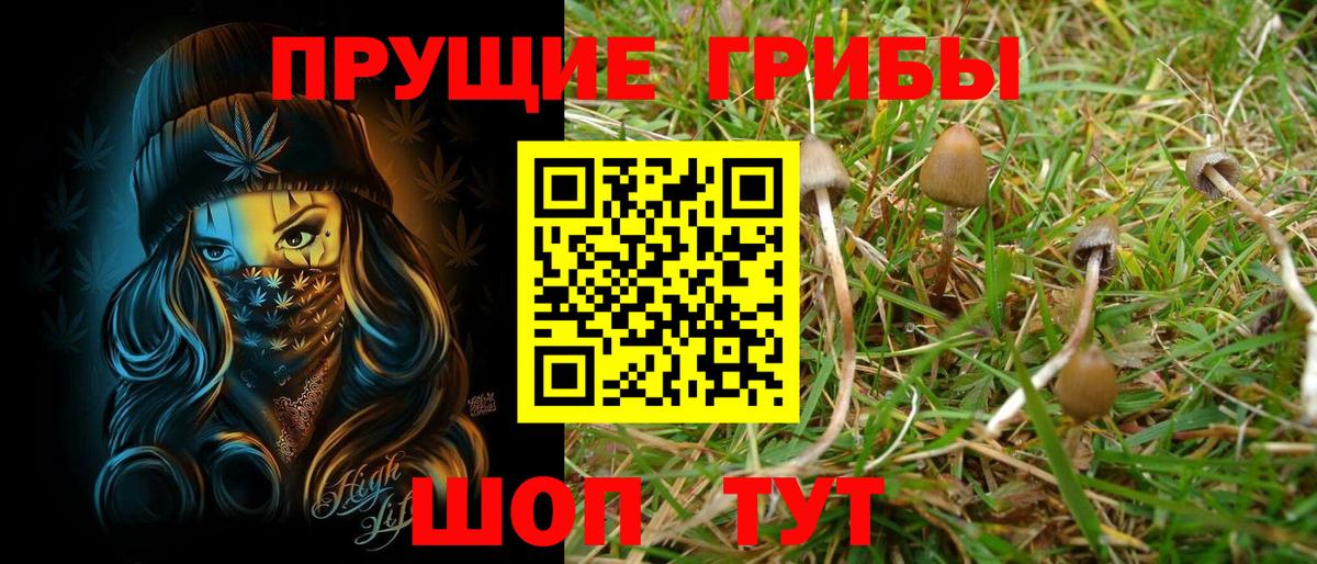 Псилоцибиновые грибы ЛСД Жигулёвск