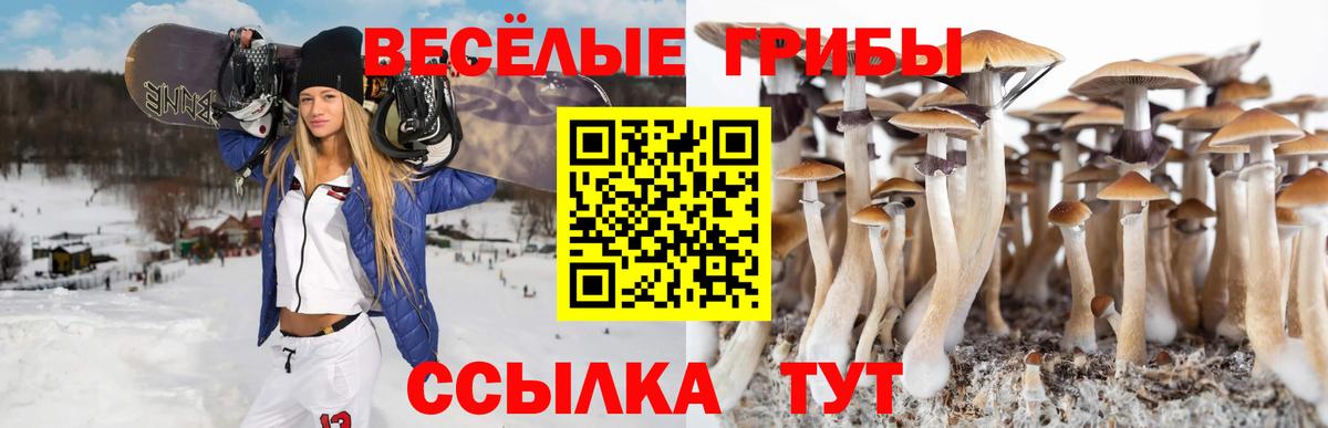 Псилоцибиновые грибы прущие грибы  Галлюциногенные грибы MAGIC MUSHROOMS  Жигулёвск  Вход с VPN 
